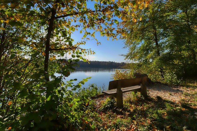 国足未来第一左后卫：华裔球星90万欧转会费登陆波兰联赛！