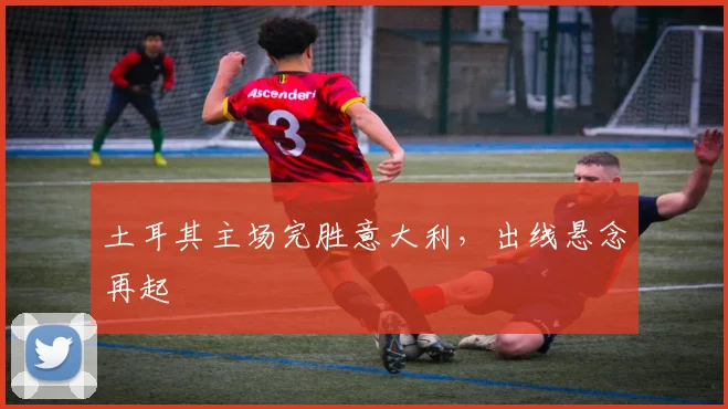 土耳其主场完胜意大利，出线悬念再起