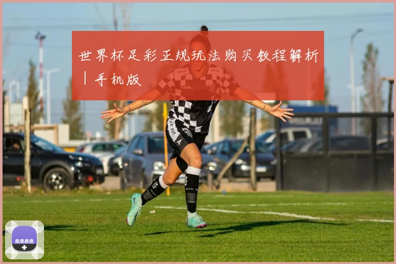 世界杯足彩正规玩法购买教程解析|手机版