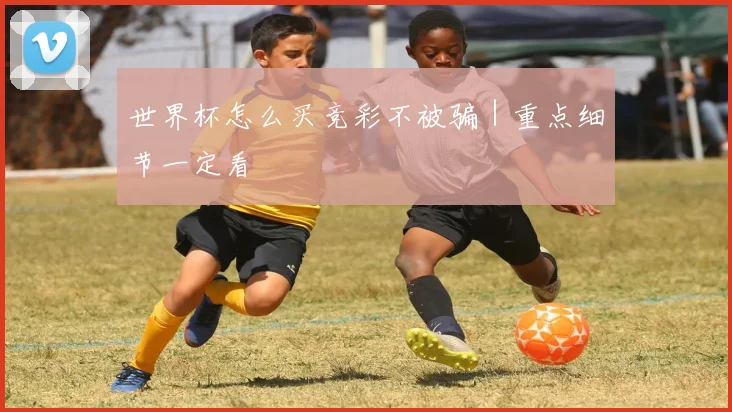 世界杯怎么买竞彩不被骗|重点细节一定看