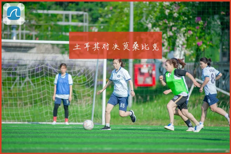 土耳其对决莫桑比克
