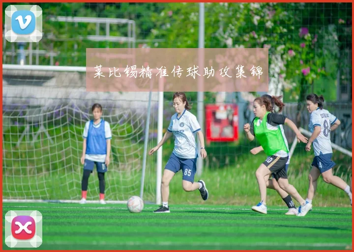 莱比锡精准传球助攻集锦