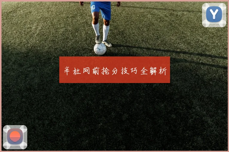 辛杜网前抢分技巧全解析