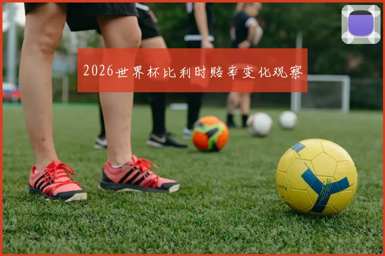 2026世界杯比利时赔率变化观察