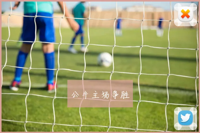 公牛主场争胜