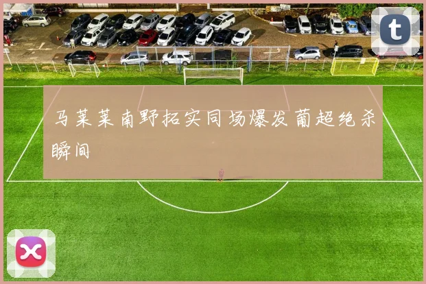 马莱莱南野拓实同场爆发葡超绝杀瞬间