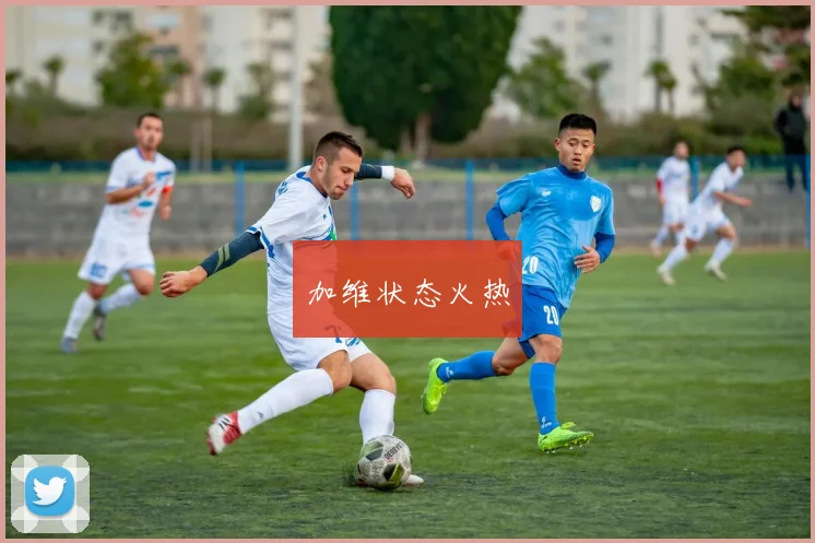 加维状态火热