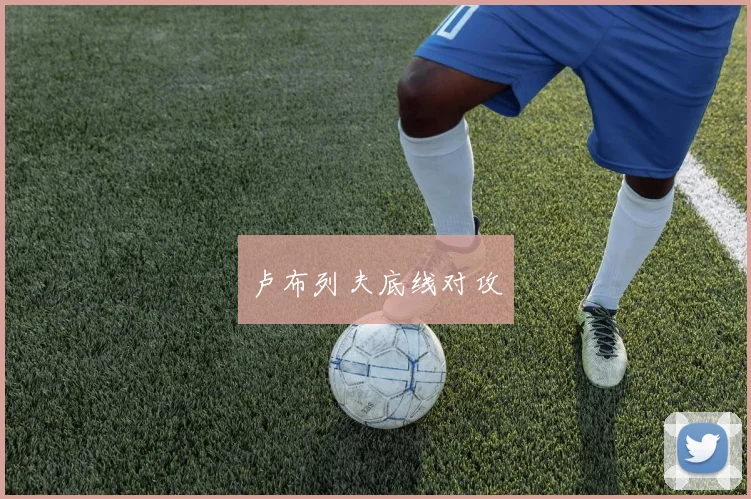 卢布列夫底线对攻