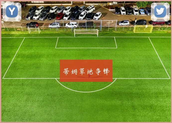 蒂姆草地争锋