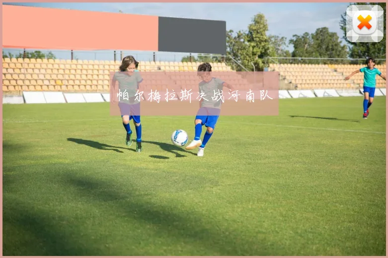 帕尔梅拉斯决战河南队