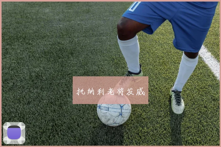 托纳利老将发威