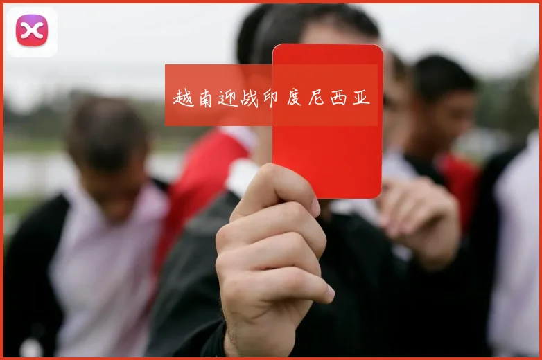 越南迎战印度尼西亚