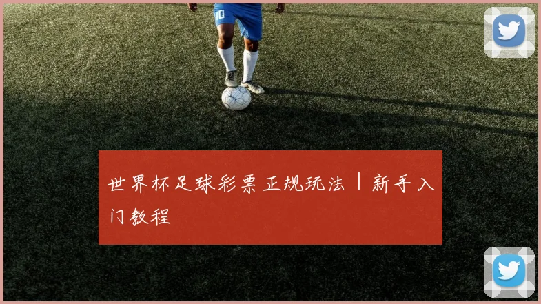 世界杯足球彩票正规玩法｜新手入门教程