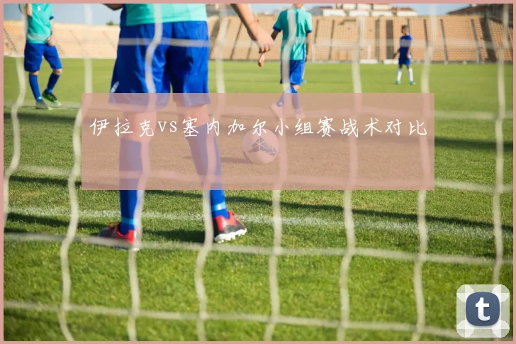 伊拉克vs塞内加尔小组赛战术对比