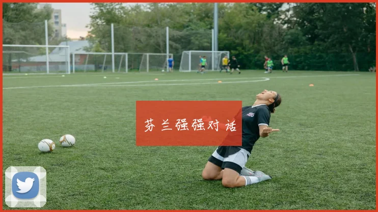 芬兰强强对话