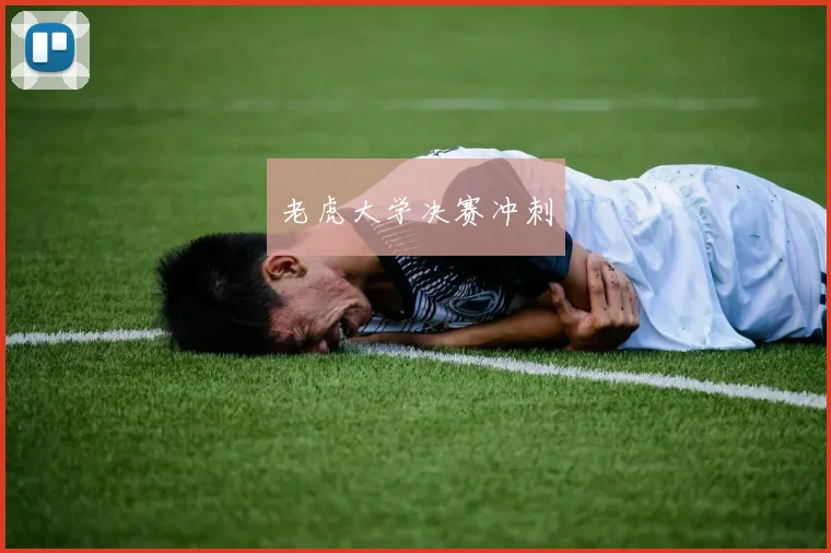老虎大学决赛冲刺