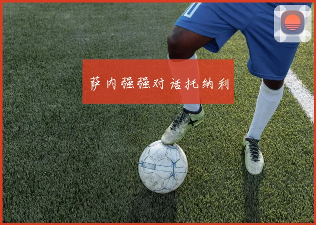 萨内强强对话托纳利