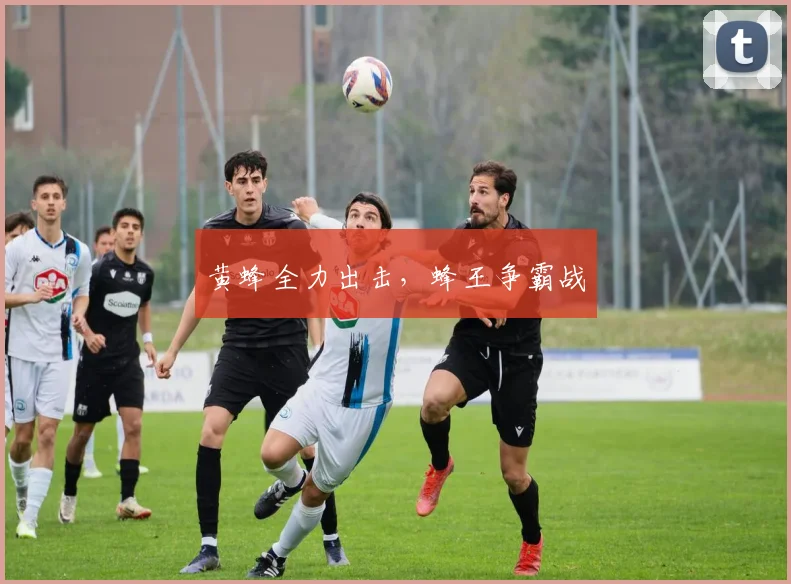 黄蜂全力出击,蜂王争霸战