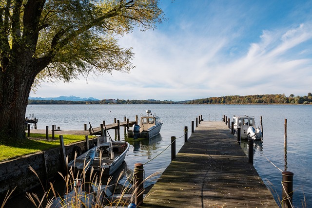 中的表现 中的表现