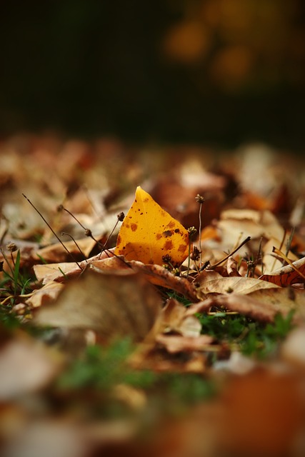 他在队内的 他在队内的