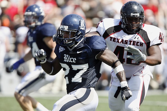 占据了优势 占据了优势