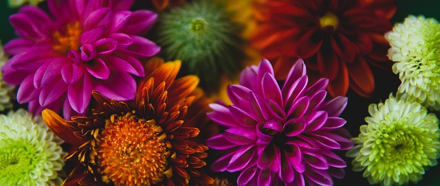 若塔的技術 若塔的技術