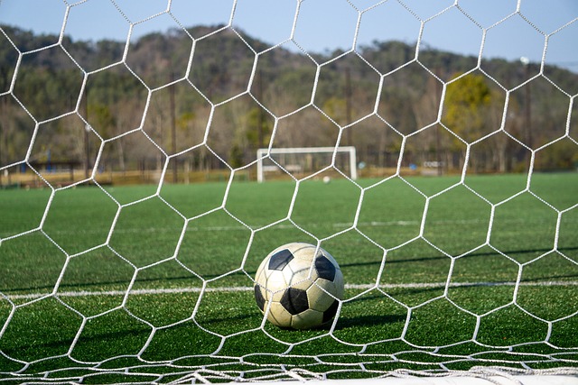 在这场冲突 在这场冲突