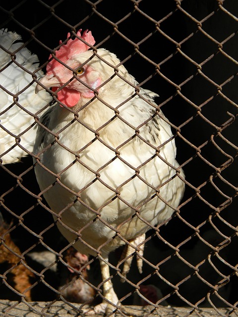 部通过高额 部通过高额