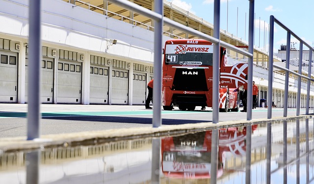 重要的作用 重要的作用