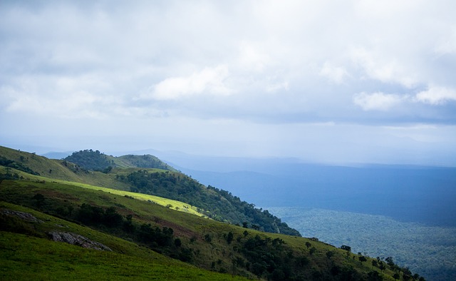 鲍尔健康地 鲍尔健康地