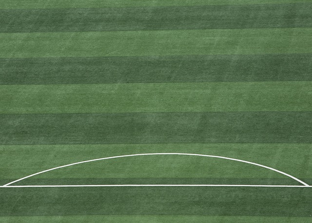 何在这些条 何在这些条