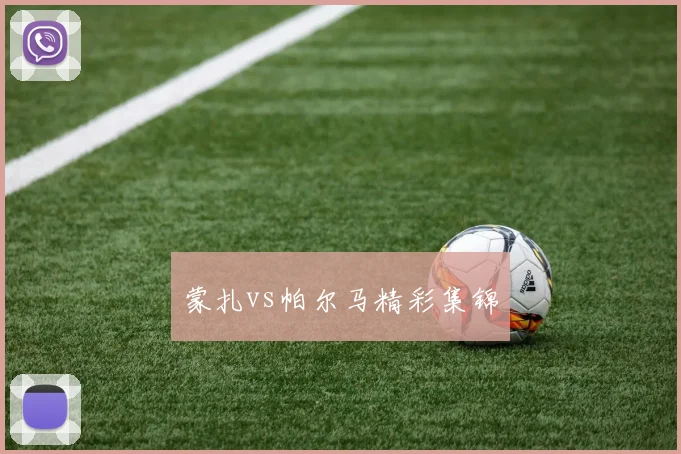 蒙扎vs帕尔马精彩集锦