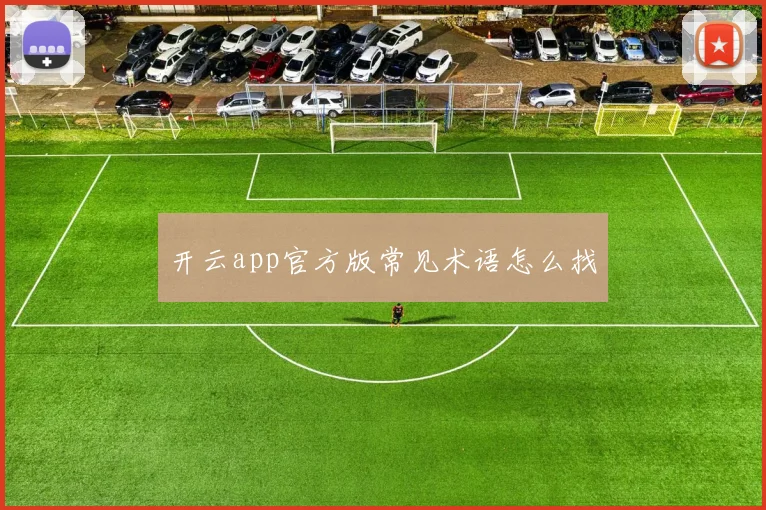开云app官方版常见术语怎么找